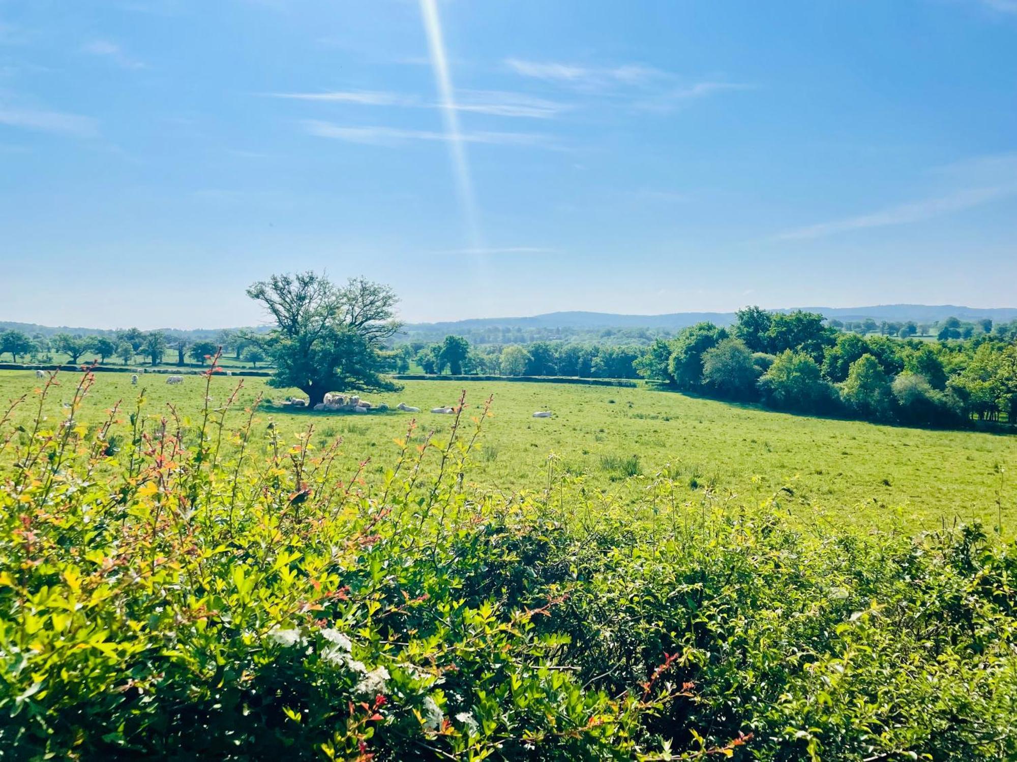 Vila Domaine Le Rianon Malleret-Boussac Exteriér fotografie